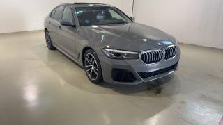 BMW Serie 5 520d xDrive Touring Luxury, Anno 2019, KM 145197 - photo principale