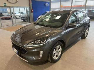 FORD Kuga 1.5 EcoBoost 120 CV S&S 2WD Business (rif. 2054879 - photo principale