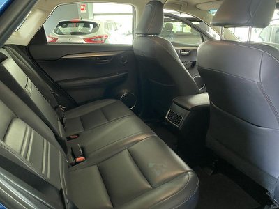 Lexus NX Hybrid 4WD Executive, Anno 2019, KM 122000 - photo principale