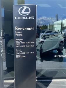 Lexus UX Full Electric UX 300e Premium, Anno 2022, KM 400 - photo principale