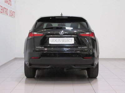 Lexus NX Hybrid 4WD Premium, Anno 2020, KM 103000 - photo principale